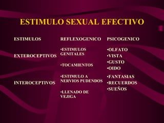 Entiende el verdadero significado cuando te nalguean Idea principal: