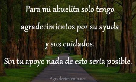 50 frases de agradecimiento para tus abuelos que te emocionarán 50 frases de agradecimiento para tus abuelos que te emocionarán