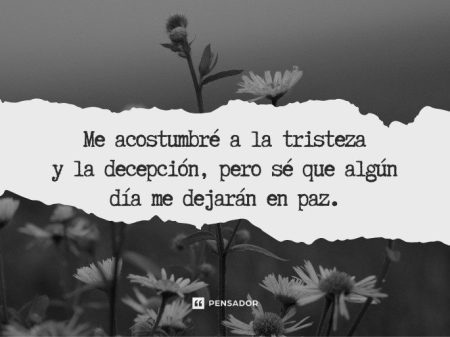 50 frases de depresión cortas para reflexionar y encontrar esperanza La esperanza