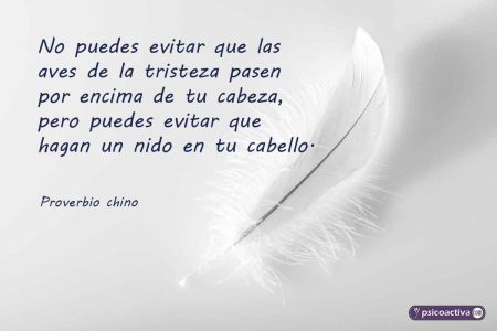 50 frases de depresión cortas para reflexionar y encontrar esperanza Frases inspiradoras para superar adversidades: