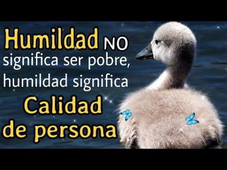 50 frases impactantes para personas orgullosas y soberbias