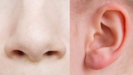 10 refranes sobre las mentiras que te harán reflexionar Consecuencias de la mentira: