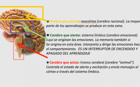 Las causas de las emociones y su impacto en el bienestar emocional ¿Qué impacto tienen las emociones en nuestras relaciones?