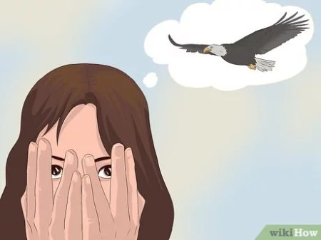 Ornitofobia: síntomas, causas y tratamiento del miedo a los pájaros Ornitofobia: síntomas, causas y tratamiento del miedo a los pájaros