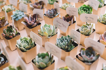 20 creativas ideas para entregar dinero a los novios en su boda 20 creativas ideas para entregar dinero a los novios en su boda